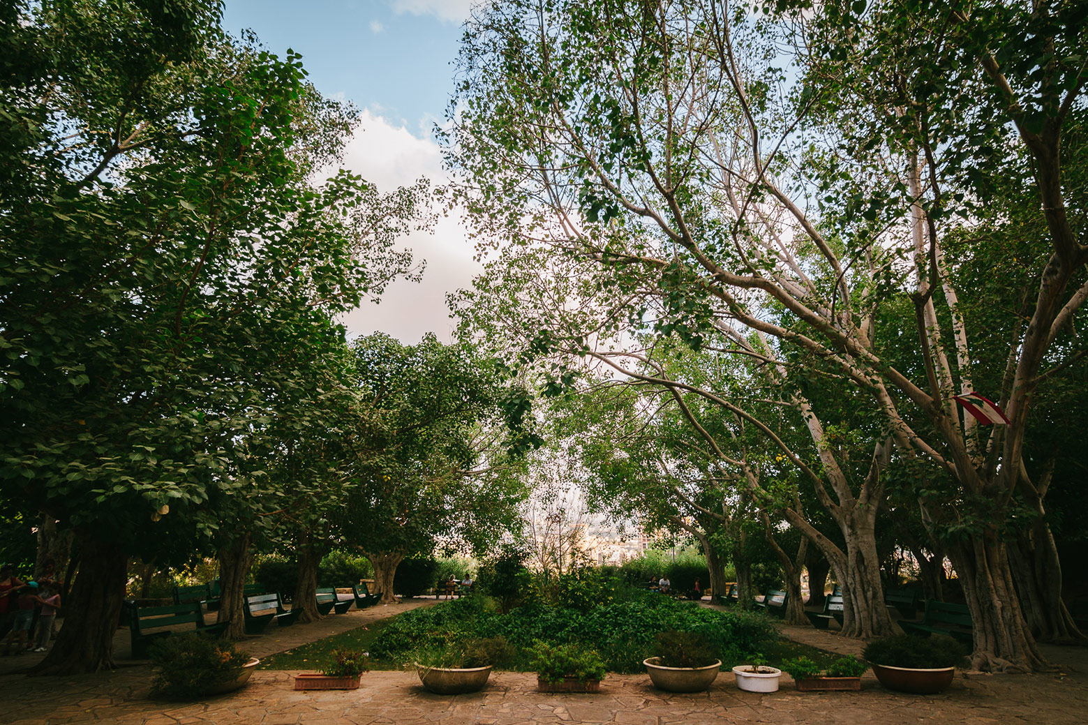 Sioufi garden